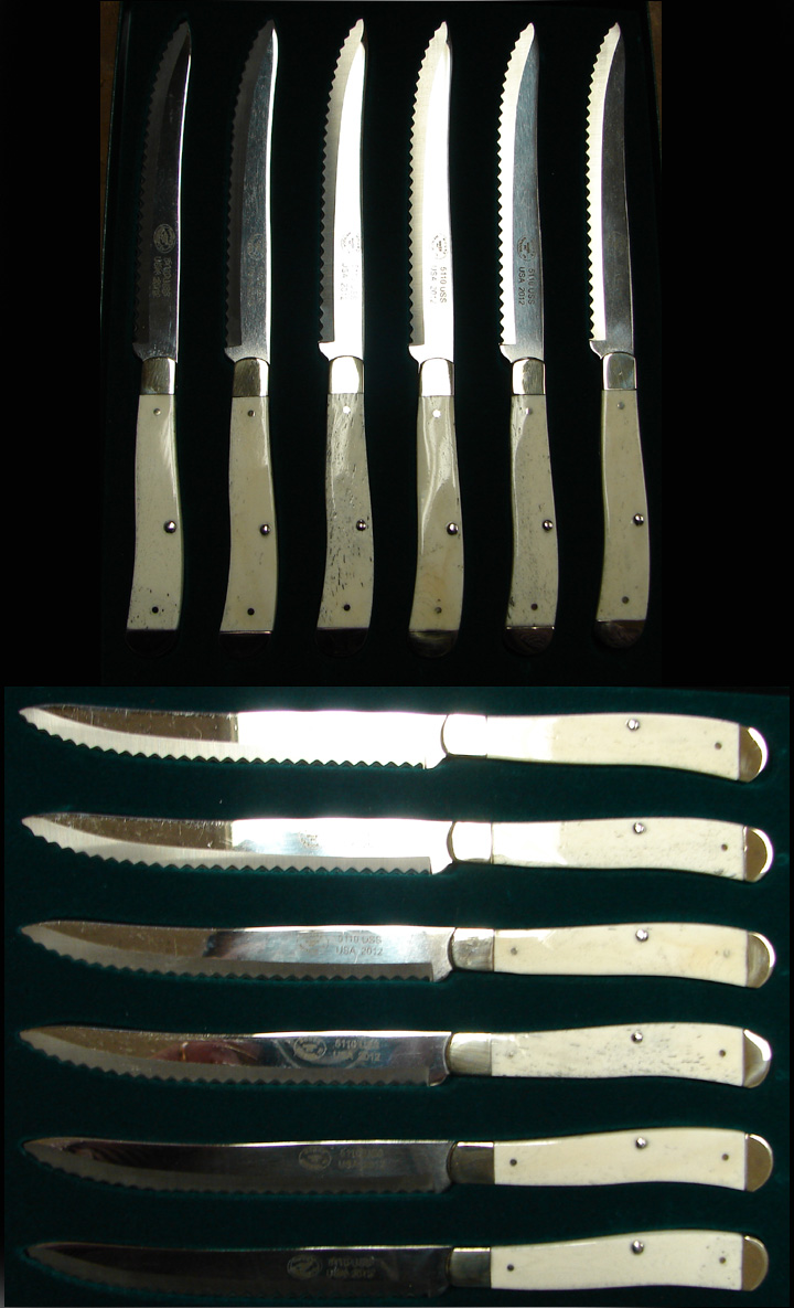 serrated blade steak knives with plastic
